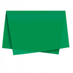 Silk Paper 50x70 Dark Green C / 100