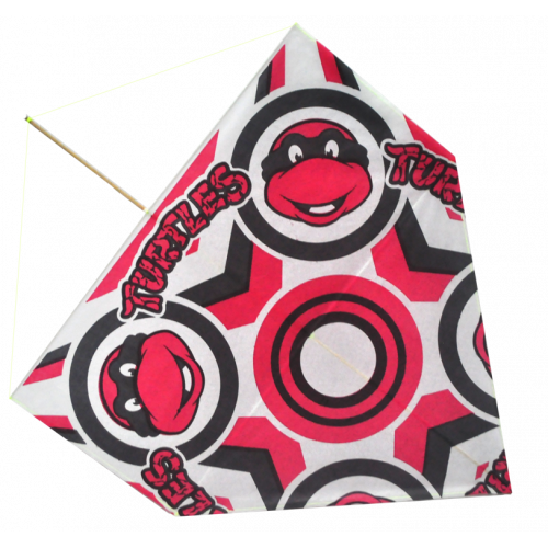 Pakistani Kites Online Store in New York