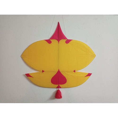 Pakistani Kites Online Store in New York