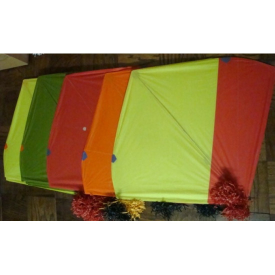 Kite Set + Firkhi  (Set of 10 kites)