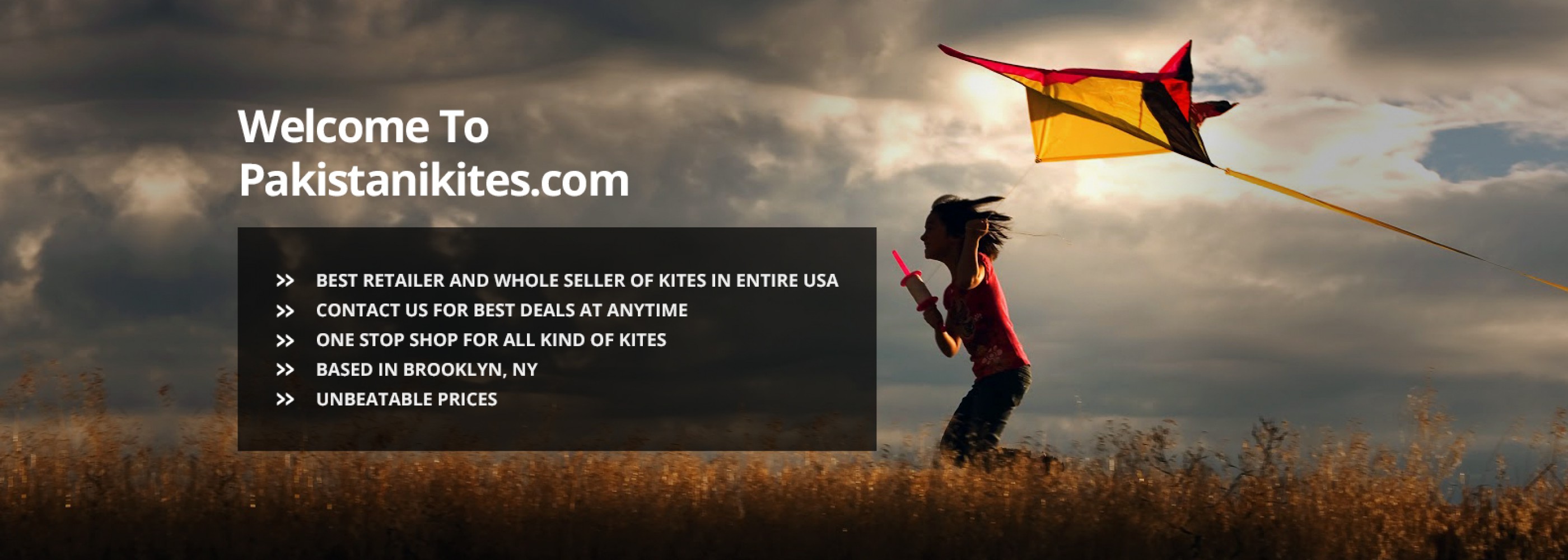 Pakistani Kites Online Store in New York