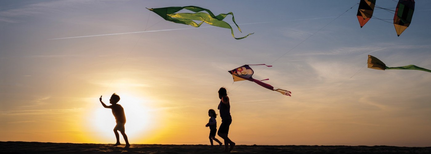 Pakistani Kites Online Store in New York